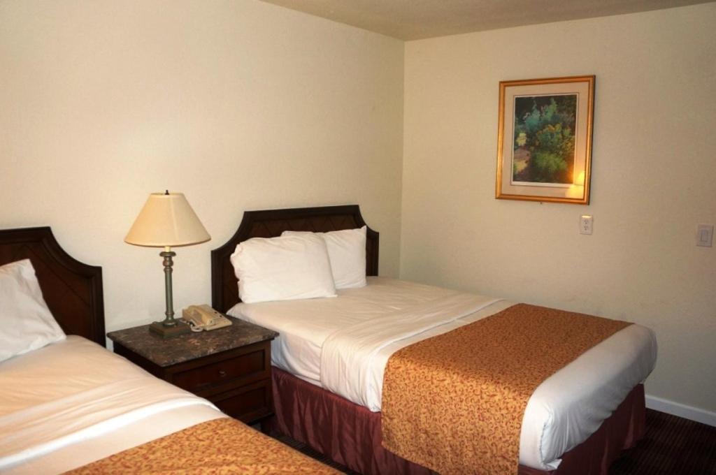 Waterford Inn エクステリア 写真