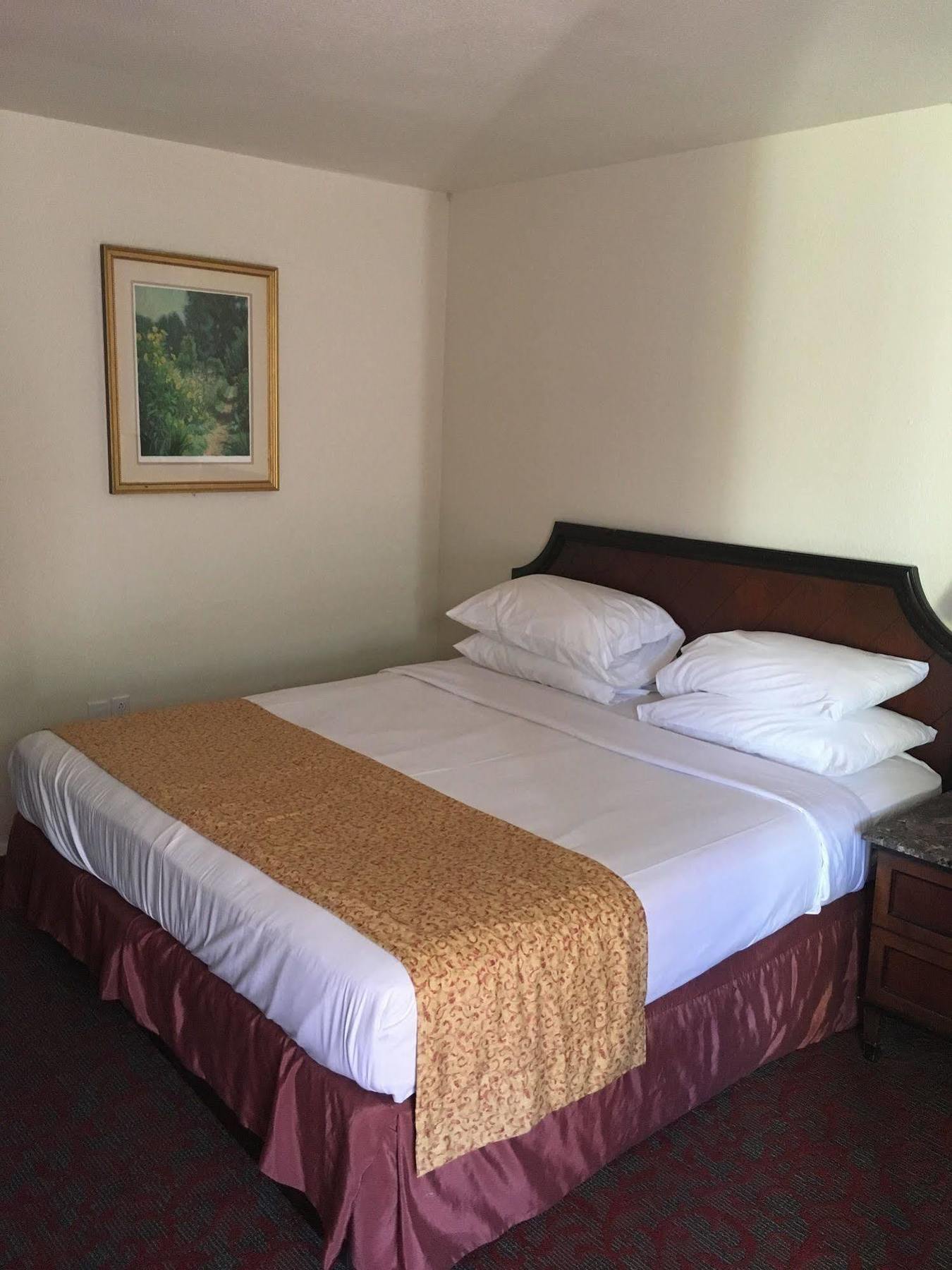 Waterford Inn エクステリア 写真