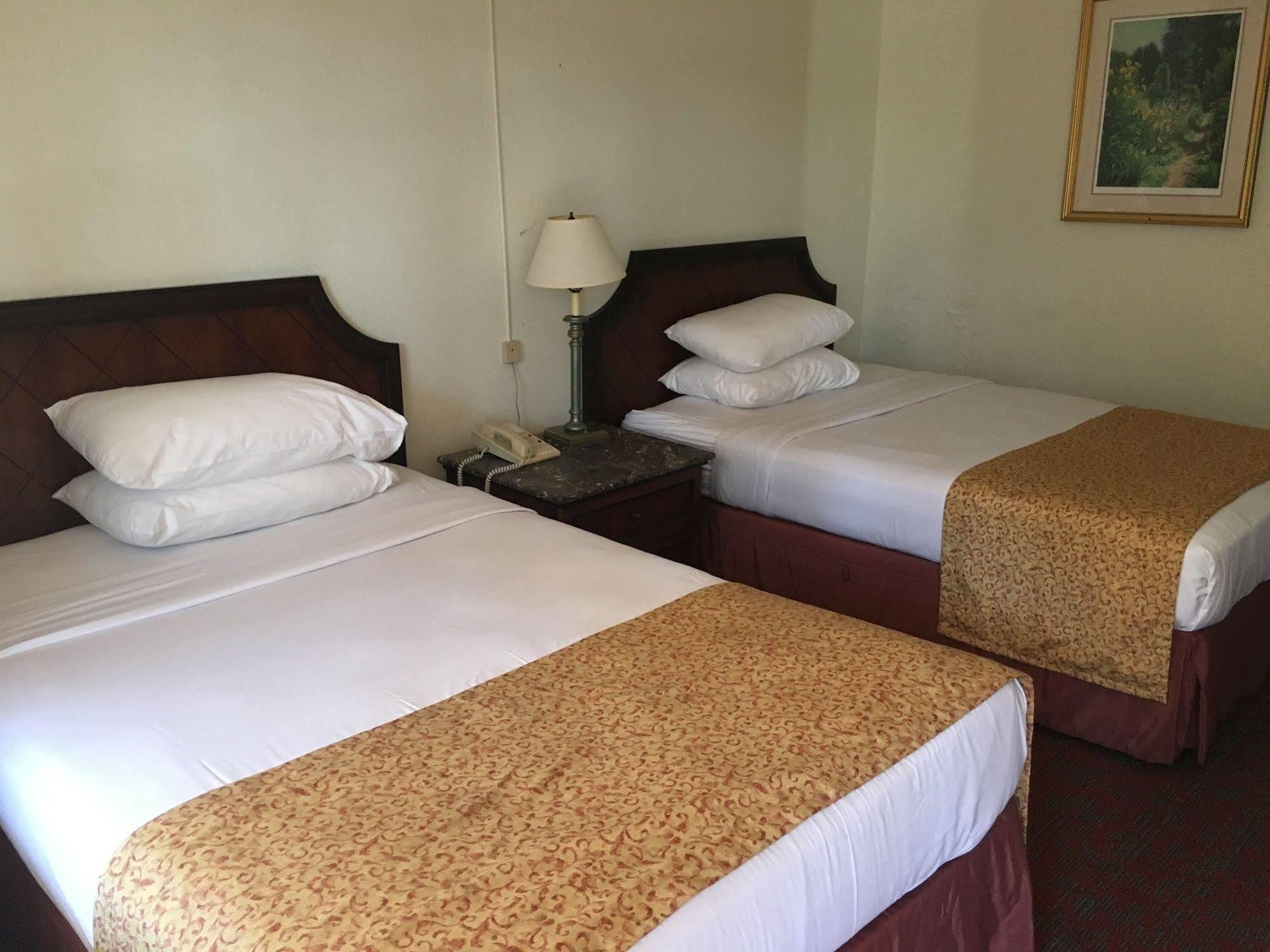 Waterford Inn エクステリア 写真
