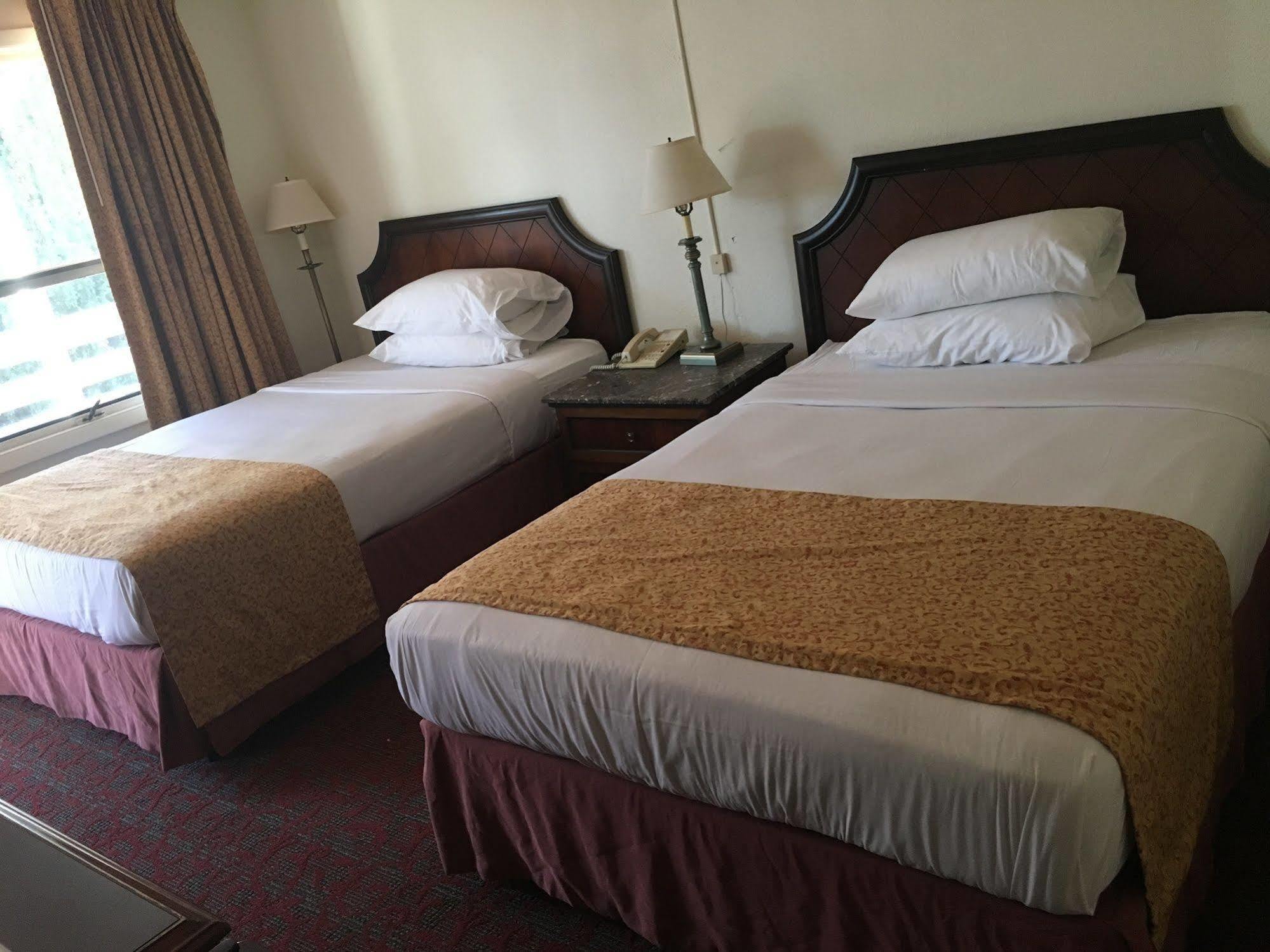 Waterford Inn エクステリア 写真
